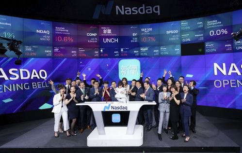 新氧科技醫(yī)美非標之困 流量變現(xiàn)受阻與科技中介服務(wù)挑戰(zhàn)